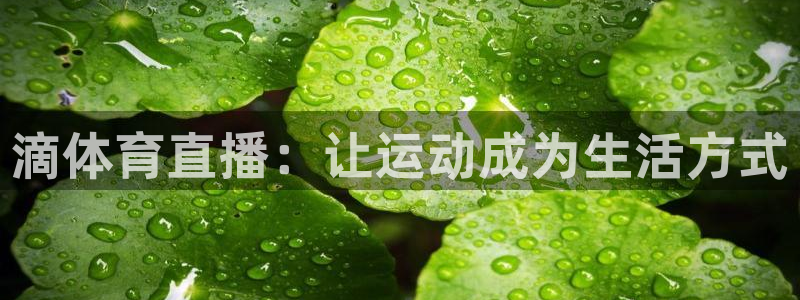 龙门直播是正规平台吗