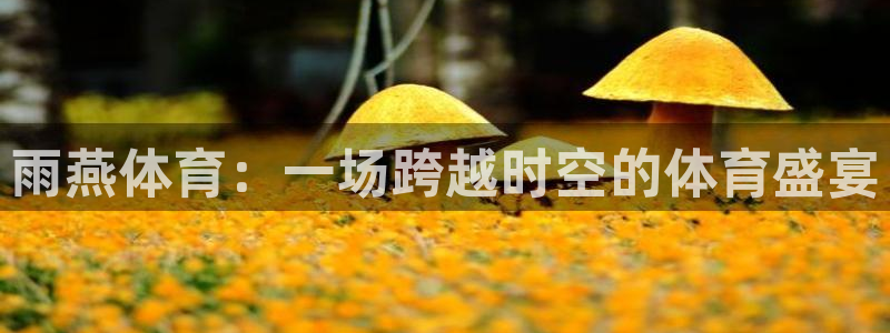 龙门直播