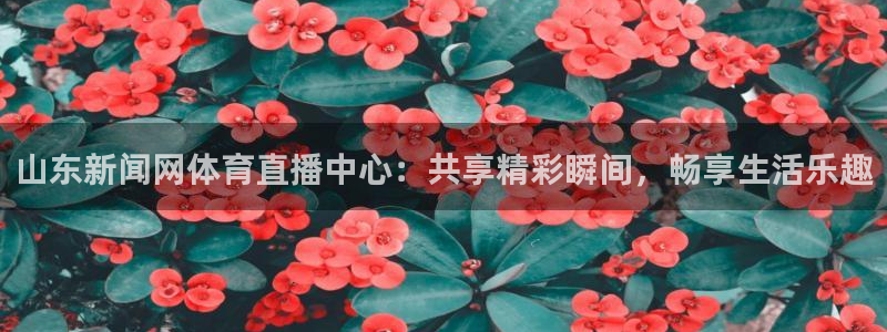 龙门直播app直播下载