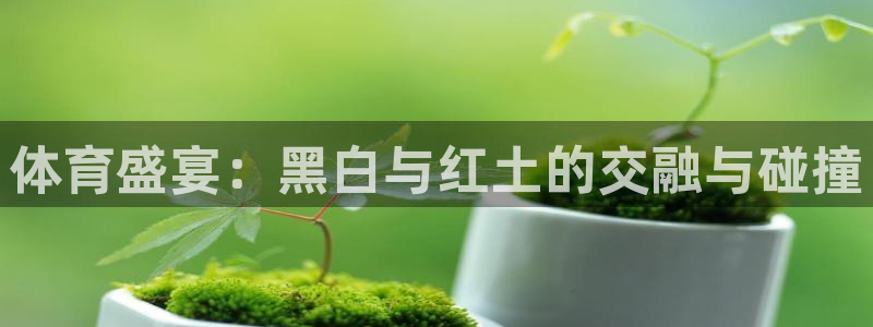 龙门直播官网