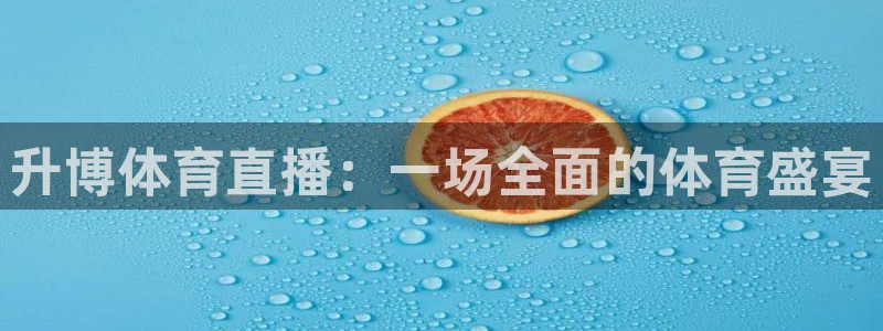 龙门直播官网nba
