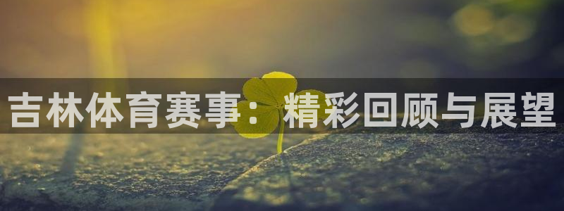 龙门直播体育赛事