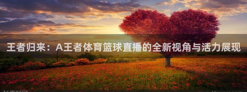 龙门直播间在线观看
