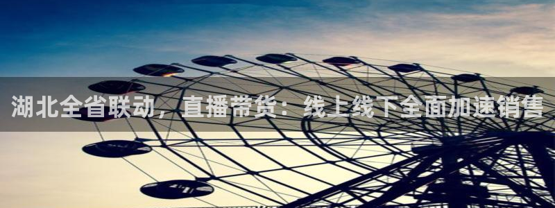 龙门直播app体育下载最新版
