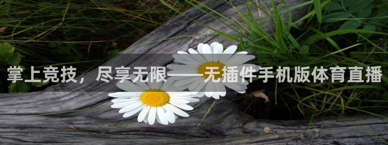 龙门直播免费下载
