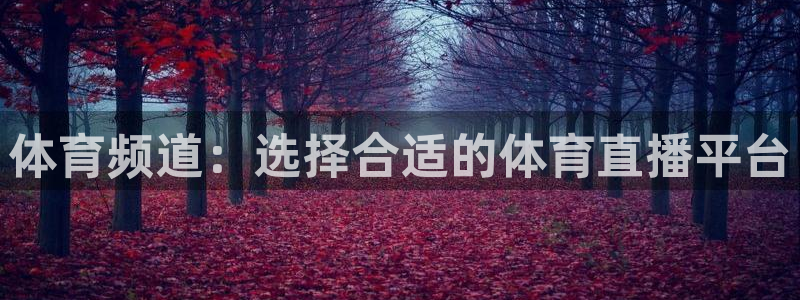 龙门直播球探