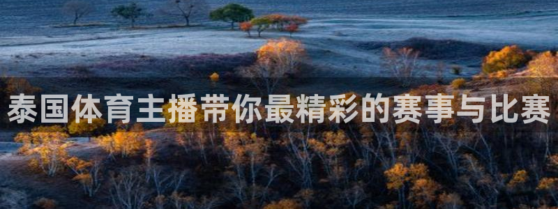 下载龙门直播官网app
